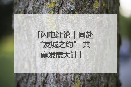 闪电评论｜同赴“友城之约” 共襄发展大计