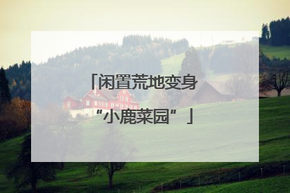 闲置荒地变身“小鹿菜园”