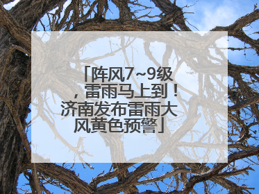 阵风7~9级，雷雨马上到！济南发布雷雨大风黄色预警