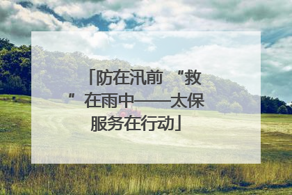 防在汛前 “救”在雨中——太保服务在行动