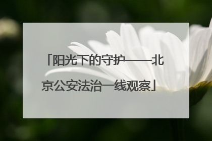 阳光下的守护——北京公安法治一线观察