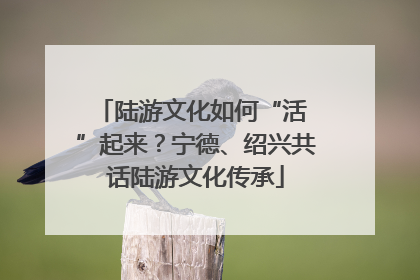 陆游文化如何“活 ”起来？宁德、绍兴共话陆游文化传承