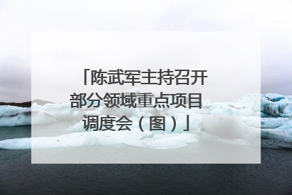 陈武军主持召开部分领域重点项目调度会（图）