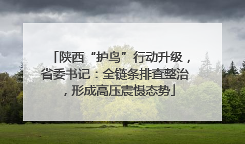 陕西“护鸟”行动升级，省委书记：全链条排查整治，形成高压震慑态势