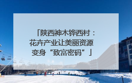陕西神木铧西村：花卉产业让美丽资源变身“致富密码”