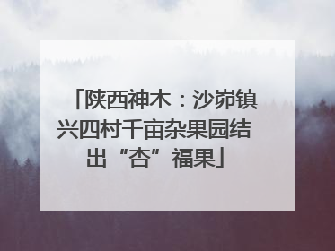 陕西神木：沙峁镇兴四村千亩杂果园结出“杏”福果