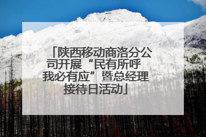 陕西移动商洛分公司开展“民有所呼 我必有应”暨总经理接待日活动