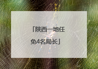 陕西一地任免4名局长