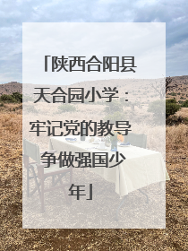 陕西合阳县天合园小学：牢记党的教导 争做强国少年