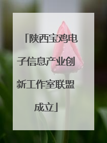 陕西宝鸡电子信息产业创新工作室联盟成立