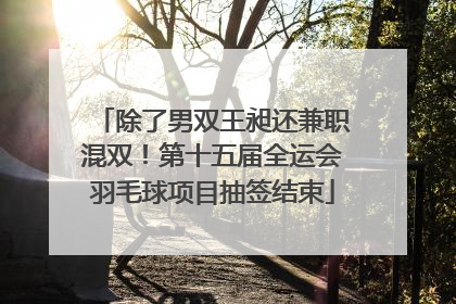 除了男双王昶还兼职混双！第十五届全运会羽毛球项目抽签结束