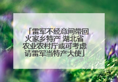 雷军不经意间带回火家乡特产 湖北省农业农村厅或可考虑请雷军当特产大使