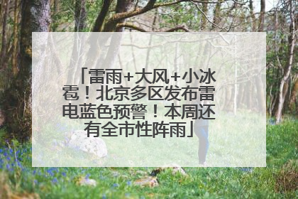 雷雨+大风+小冰雹！北京多区发布雷电蓝色预警！本周还有全市性阵雨