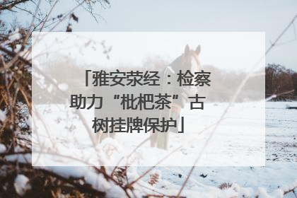 雅安荥经：检察助力“枇杷茶”古树挂牌保护