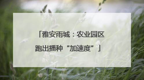 雅安雨城：农业园区跑出播种“加速度”