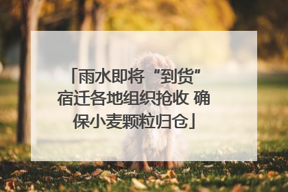 雨水即将“到货” 宿迁各地组织抢收 确保小麦颗粒归仓