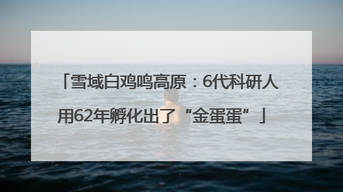 雪域白鸡鸣高原：6代科研人用62年孵化出了“金蛋蛋”