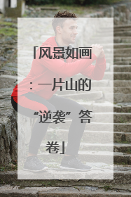 风景如画：一片山的“逆袭”答卷