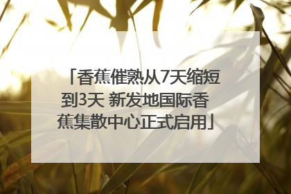香蕉催熟从7天缩短到3天 新发地国际香蕉集散中心正式启用