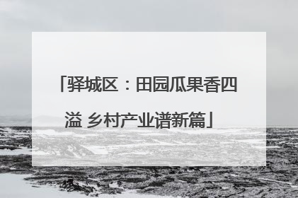 驿城区：田园瓜果香四溢 乡村产业谱新篇