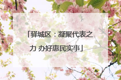 驿城区：凝聚代表之力 办好惠民实事