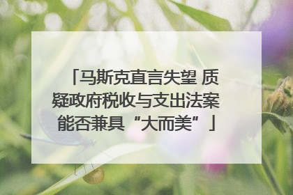 马斯克直言失望 质疑政府税收与支出法案能否兼具“大而美”