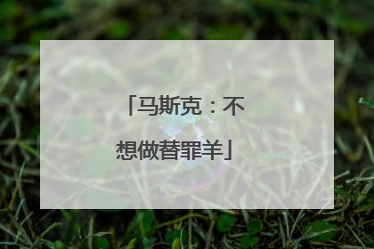 马斯克：不想做替罪羊