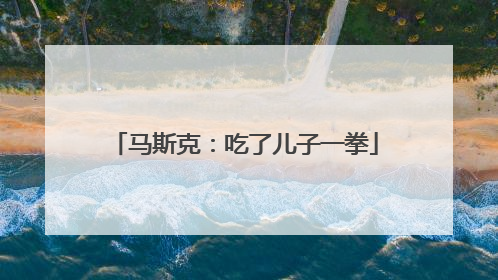 马斯克：吃了儿子一拳