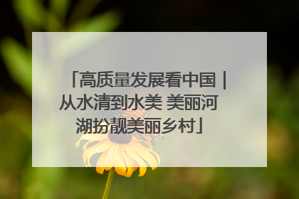 高质量发展看中国｜从水清到水美 美丽河湖扮靓美丽乡村