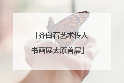 齐白石艺术传人书画展太原首展