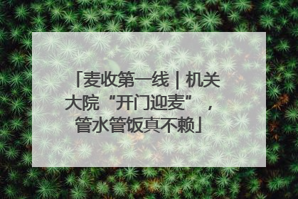 麦收第一线｜机关大院“开门迎麦”，管水管饭真不赖