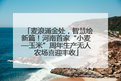 麦浪涌金处，智慧绘新篇！河南首家“小麦—玉米”周年生产无人农场喜迎丰收