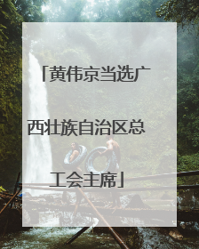 黄伟京当选广西壮族自治区总工会主席