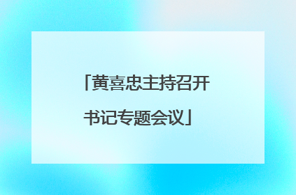 黄喜忠主持召开书记专题会议