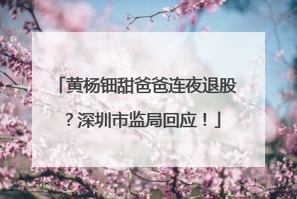 黄杨钿甜爸爸连夜退股?深圳市监局回应!
