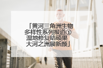 黄河三角洲生物多样性系列报道①湿地修复结硕果 大河之洲展新颜