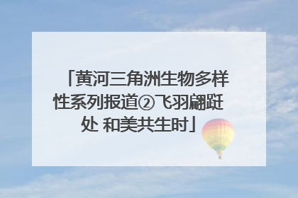 黄河三角洲生物多样性系列报道②飞羽翩跹处 和美共生时
