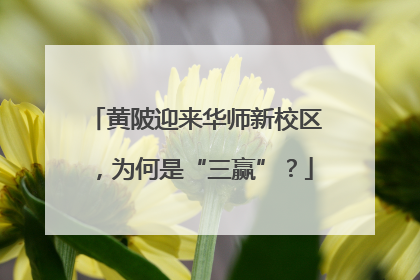 黄陂迎来华师新校区，为何是“三赢”？
