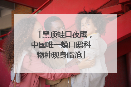 黑顶蛙口夜鹰，中国唯一蟆口鸱科物种现身临沧