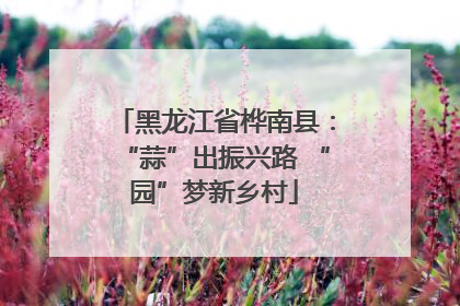 黑龙江省桦南县：“蒜”出振兴路 “园”梦新乡村