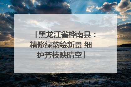 黑龙江省桦南县：精修绿韵绘新景 细护芳枝映晴空