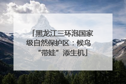 黑龙江三环泡国家级自然保护区：候鸟“带娃”添生机