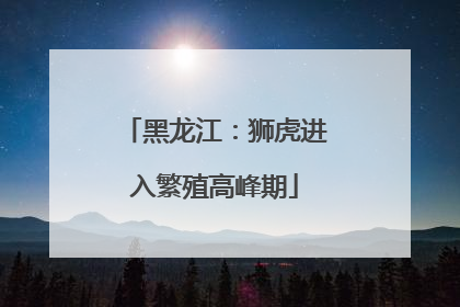 黑龙江：狮虎进入繁殖高峰期
