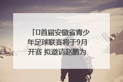 ﻿首届安徽省青少年足球联赛将于9月开赛 拟邀请赵鹏为先导赛开球