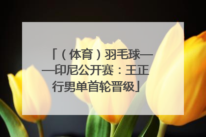（体育）羽毛球——印尼公开赛：王正行男单首轮晋级