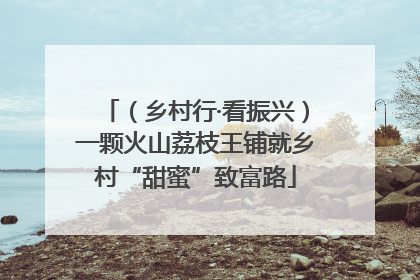 （乡村行·看振兴）一颗火山荔枝王铺就乡村“甜蜜”致富路