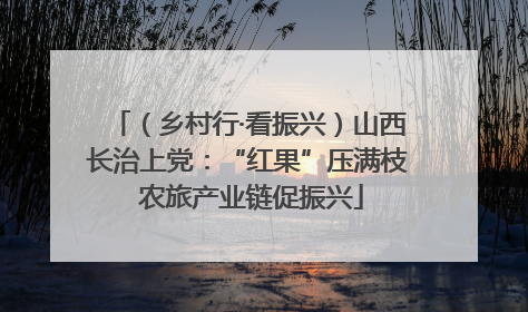 （乡村行·看振兴）山西长治上党：“红果”压满枝 农旅产业链促振兴