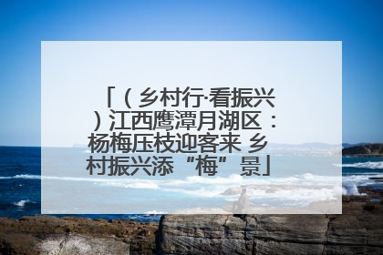（乡村行·看振兴）江西鹰潭月湖区：杨梅压枝迎客来 乡村振兴添“梅”景