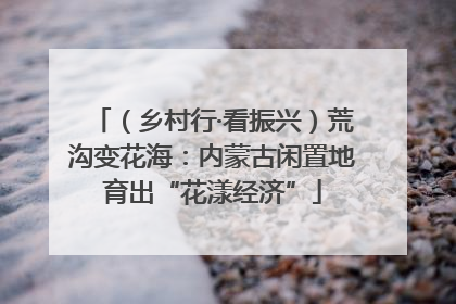 （乡村行·看振兴）荒沟变花海：内蒙古闲置地育出“花漾经济”