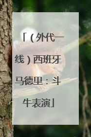 （外代一线）西班牙马德里：斗牛表演